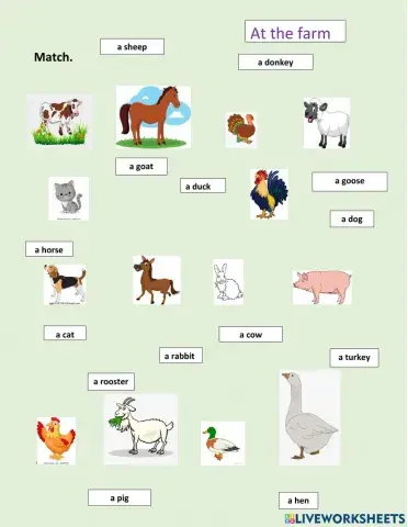 Farm animals. Match
