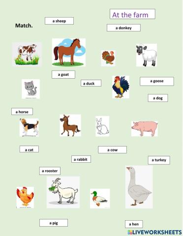 Farm animals. Match