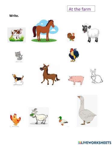 Farm animals. Spelling