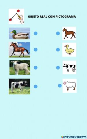 Animal real - pictograma (animales domésticos 1)