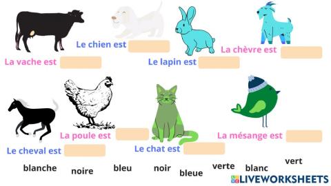 L'adjectif qualificatif