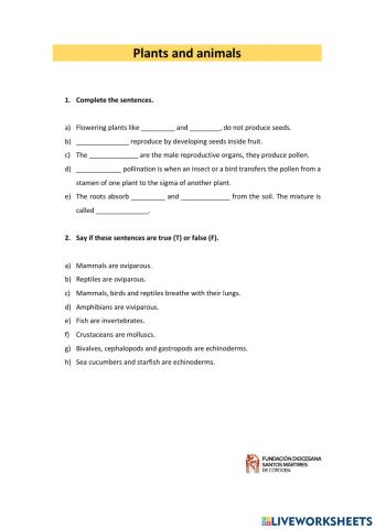 Ficha tema 4 Science 4