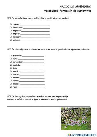 Formación de adjetivos