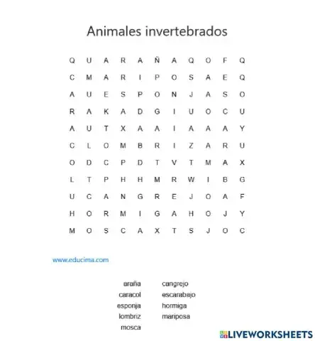 Invertebrados