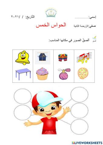 الحواس الخمس