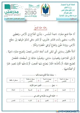 الفهم القرائي :رحلة حبة قمح  الصف الثاني الابتدائي