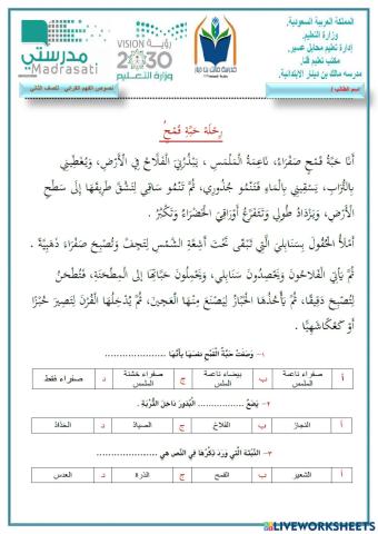 الفهم القرائي :رحلة حبة قمح  الصف الثاني الابتدائي