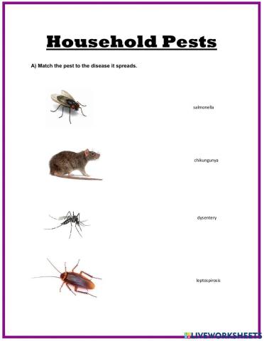 Household Pests
