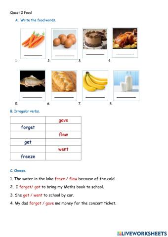 Quest 2 food