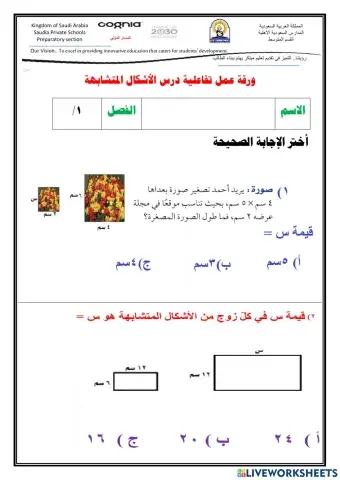 الأشكال المتشابهة