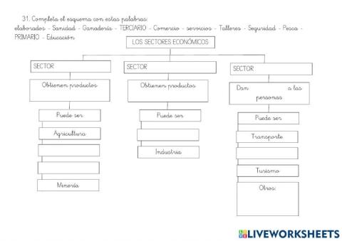 Esquema Los sectores económicos