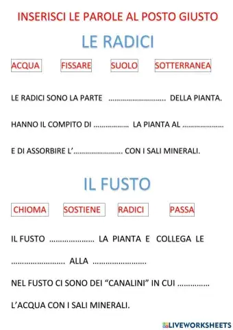 Le funzioni delle parti della pianta