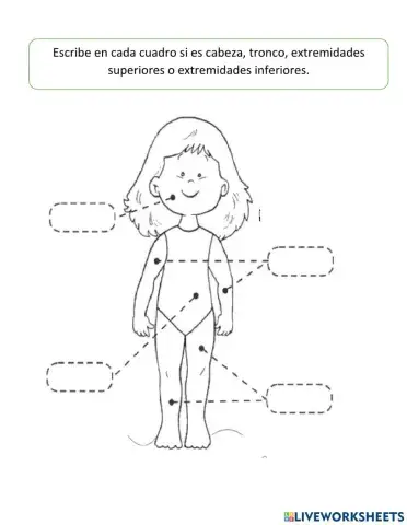 Partes del cuerpo