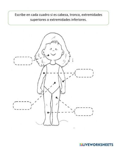 Partes del cuerpo