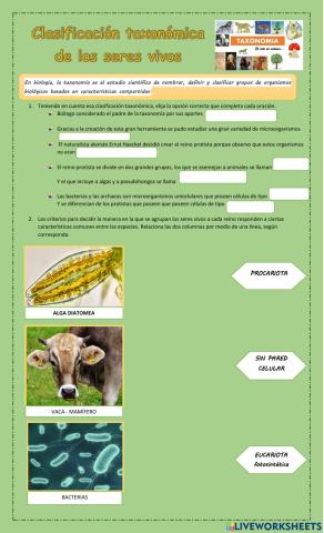 Clasificación taxonómica