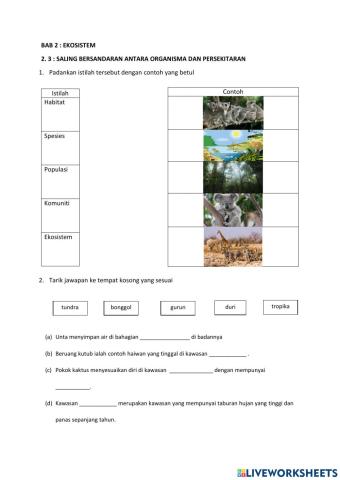 Interaksi antara organisma dan persekitaran