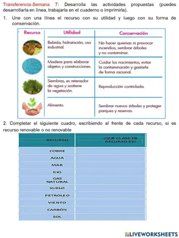 Tec-Transferencia Semana 6