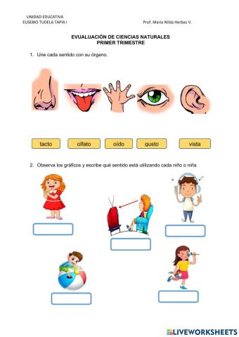 Evaluación de los cinco sentidos