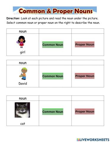 Nouns: Common and Proper Nouns