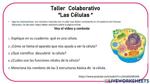 Taller colaborativo