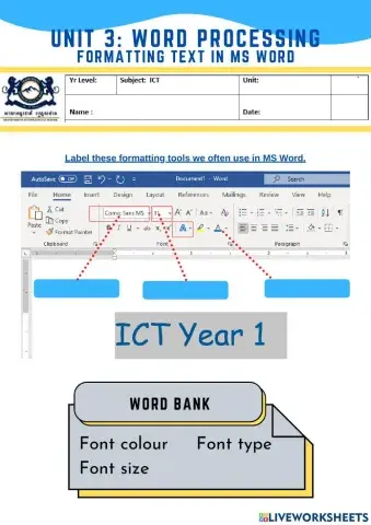 Formatting Text in MS Word