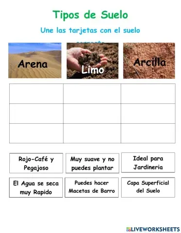 Ciencias Tipos de Suelo