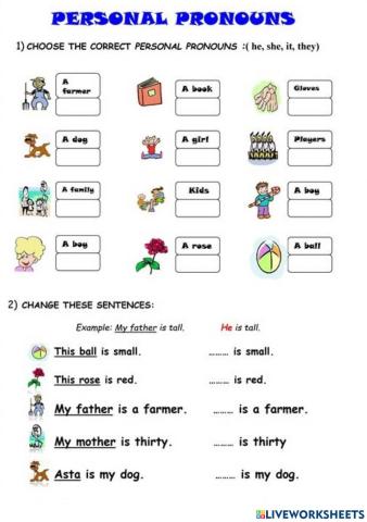 Personal Pronouns