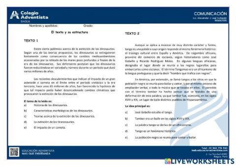 Texto y su estructura