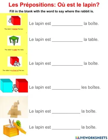 Où est le lapin? Write your answers