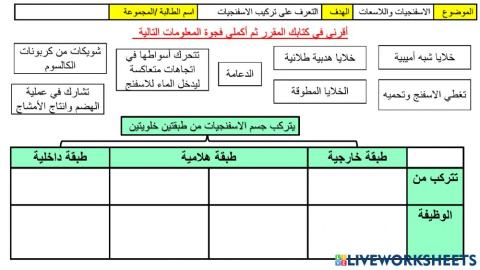 ورقة عمل تركيب الاسفنجيات