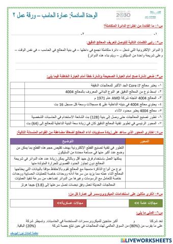 المعالج الدقيق