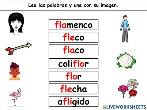 Discriminación fonológica (Sílaba fl)