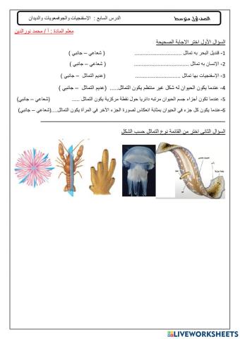 مراجعة اللافقاريات