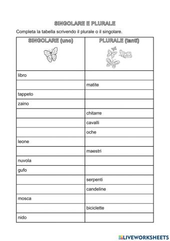 Singolare - plurale