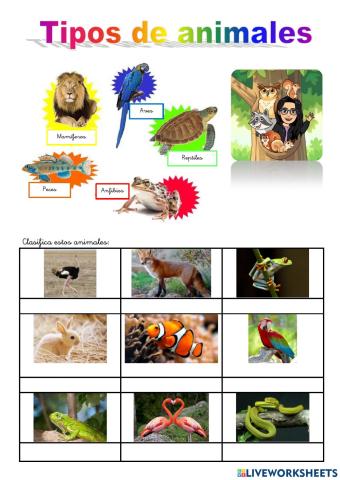 Tipos de animales