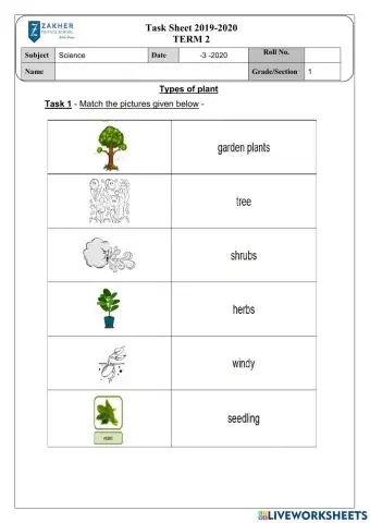 Herbs Shrubs and trees