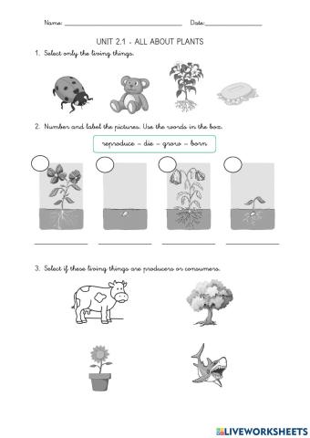 2.1. All about plants