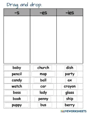 Singular and Plural Nouns