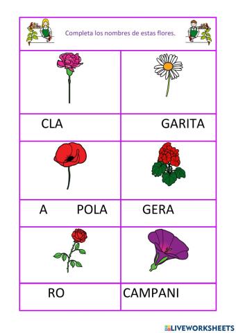 Flores