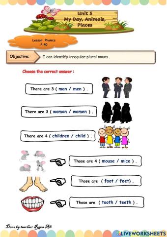 We Can4 U5 L 4  I can identify irregular plural nouns