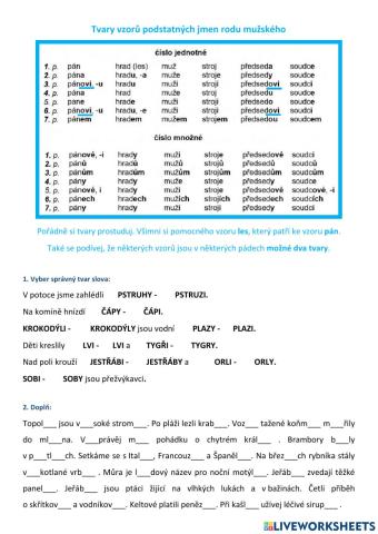 Skloňování podstatných jmen rodu mužského