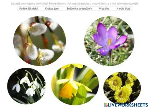 Prvouka, věcné učení