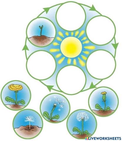 Prvouka, věcné učení