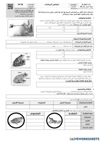 خصائص البرمائيات