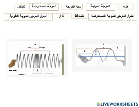 انواع الموجات