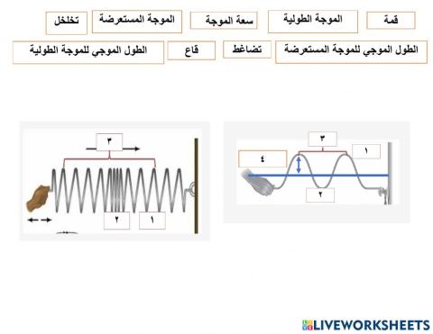 انواع الموجات