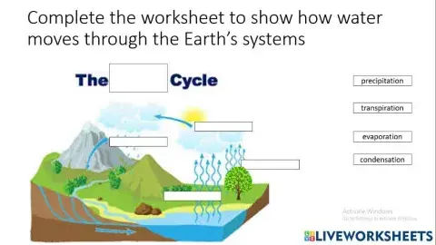 Water Cycle