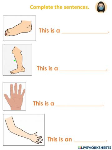 This-These-parts of the hands