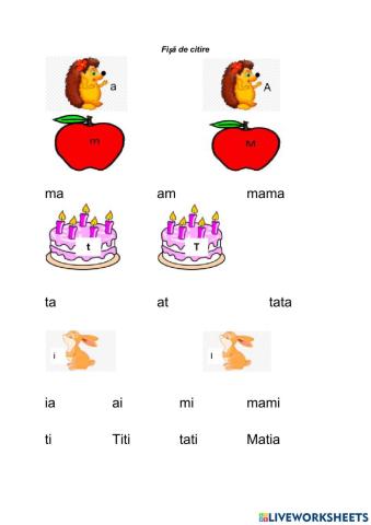 Fișă de citire a-i