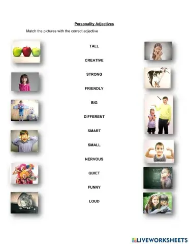 Personality Adjectives